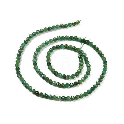 Natural Fuchsite Beads Strands G-C009-A13-1