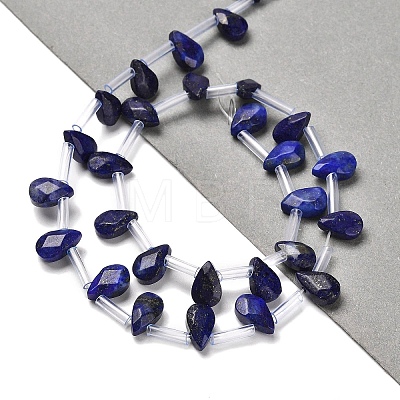 Natural Lapis Lazuli Beads Strands G-Q167-A25-02-1