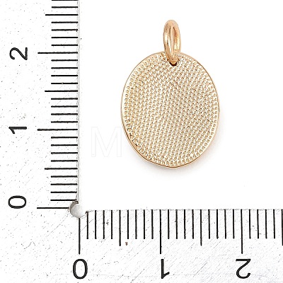 304 Stainless Steel Enamel Pendants STAS-L312-03G-02-1
