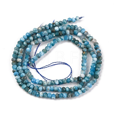 Natural Apatite Beads Strands G-F770-D09-02A-1