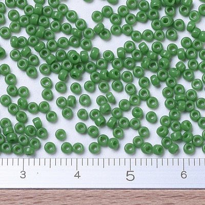 MIYUKI Round Rocailles Beads X-SEED-G007-RR0411-1