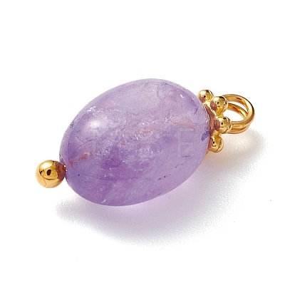 Natural Amethyst Charms PALLOY-JF01092-02-1