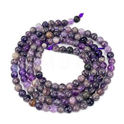 Natural Charoite Beads Strands G-M438-A03-01-1