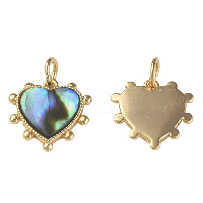 Synthetic Abalone Shell/Paua Shell Charms KK-N233-216-1