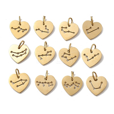 304 Stainless Steel Charms SA-CBAE491-02G-1