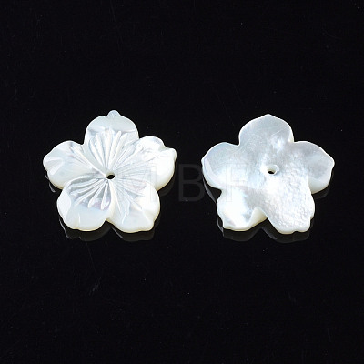 Natural White Shell Mother of Pearl Shell Beads SSHEL-T014-42C-1