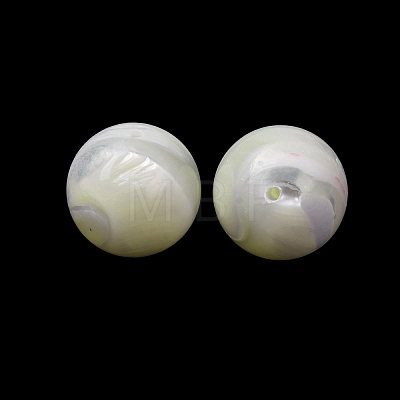 Natural Trochid Shell/Trochus Shell Beads SH-CBA2978-22-1