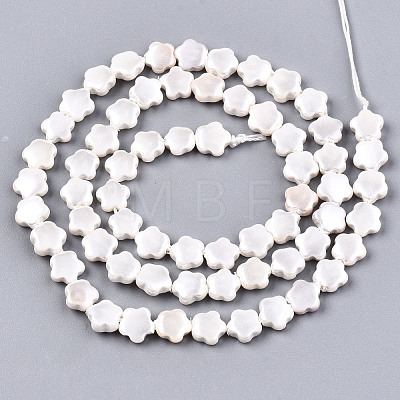 Shell Pearl Beads Strands SSHEL-N032-21-1