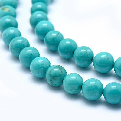 Natural Magnesite Round Beads Strands TURQ-G148-03-6mm-1