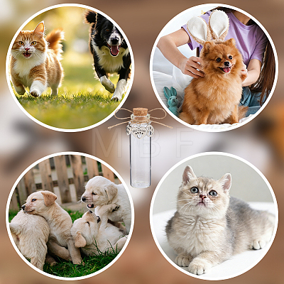 4Pcs Glass Cork Wishing Bottles AJEW-DR00051-1