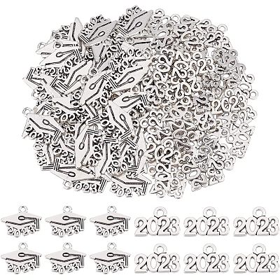 120Pcs 2 Style Tibetan Style Alloy Charms FIND-CA0006-06-1