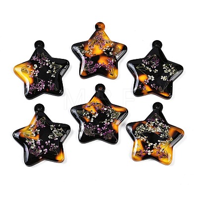 Epoxy Resin Pendants RESI-S09-01C-RS-1