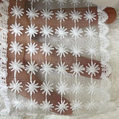 Polyester Embroidery Lace Trim PW-WG31848-16-1