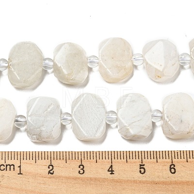 Natural Rainbow Moonstone Beads Strands G-G072-A02-02-1