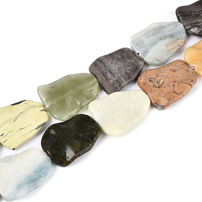 Natural Gemstone Beads Strands G-T143-20B-1