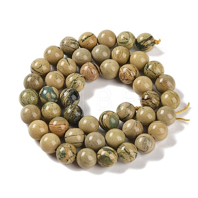 Natural Verdite Stone Beads Strands G-P530-B07-03-1