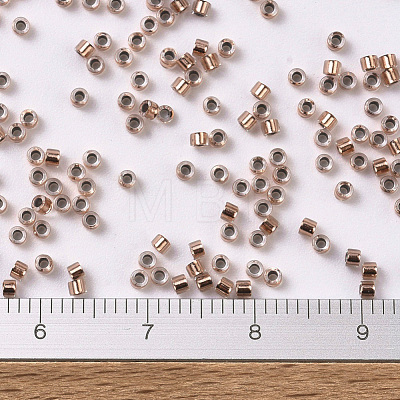 MIYUKI Delica Beads SEED-JP0008-DB0037-1
