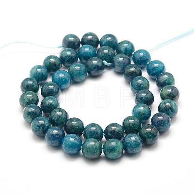 Natural Apatite Beads Strands G-F475-06-10mm-1