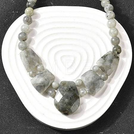 Natural Labradorite Faceted Bib Graduated Beaded Necklaces for Women NJEW-B128-01P-1
