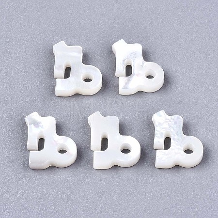 Natural White Shell Beads LS-SSHEL-ZX004-02K-1
