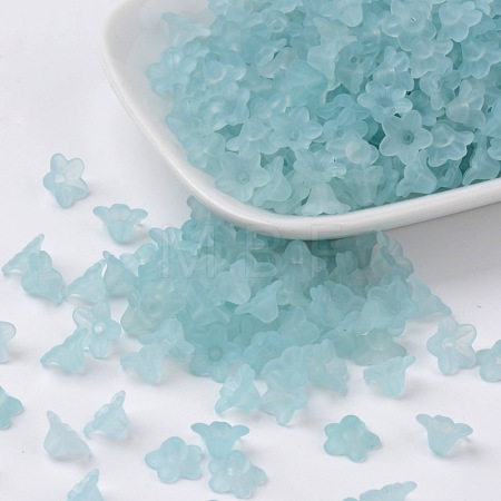 Transparent Acrylic Beads X-PL554-11-1