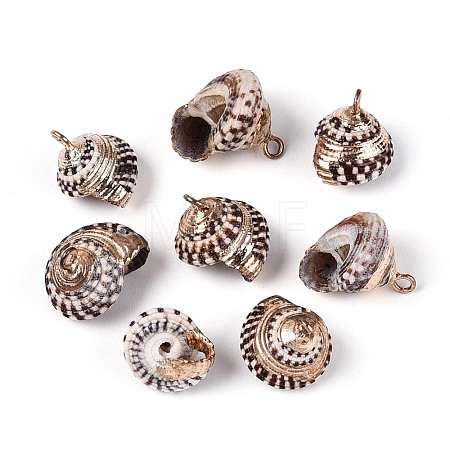 Electroplated Natural Shell Pendants BSHE-T015-05-1