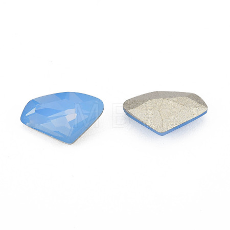 K9 Glass Rhinestone Cabochons MRMJ-N029-23-04-1