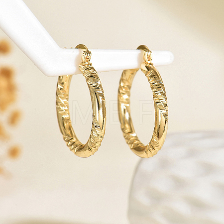 Brass Textured Rectangle Hoop Earrings TU9536-5-1