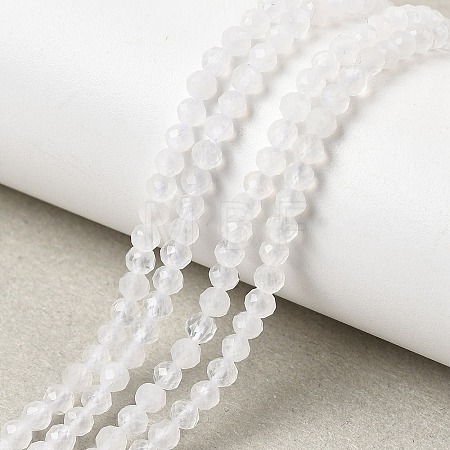 Natural Rainbow Moonstone Beads Strands G-H336-A13-02-1
