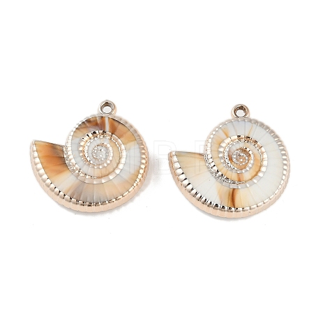 Plating Acrylic Pendants OACR-F012-06I-1