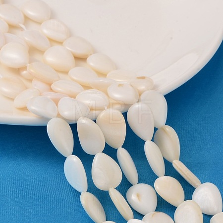 Natural White Shell Beads Strands X-PBB263Y-1-1