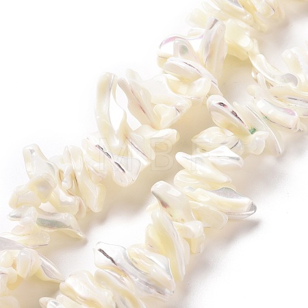 Natural Trochid Shell Beads Strands SSHEL-G023-05B-1