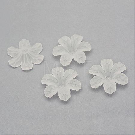 Transparent Acrylic Beads FACR-Q009-09H-1