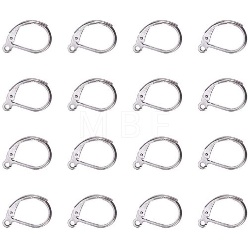 304 Stainless Steel Leverback Earring Findings STAS-PH0018-28P-1