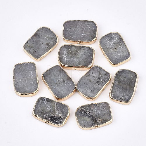 Electroplate Natural Labradorite Beads G-S344-96-1