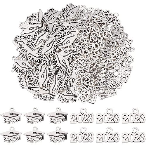 120Pcs 2 Style Tibetan Style Alloy Charms FIND-CA0006-06-1