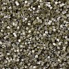 MIYUKI Delica Beads SEED-MY11-DB1876-3