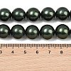 Electroplated Shell Pearl Graduated Beads Strands BSHE-C011-04-02-3