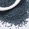 MIYUKI Delica Beads SEED-X0054-DB1052-1