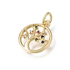 Brass Micro Pave Colorful Cubic Zirconia Charms CU-L001-12G-02-2