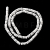 Natural Howlite Beads Strands X-G-Z089-A02-4