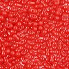 Baking Paint Glass Seed Beads SEED-L011-09A-14-3