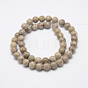 Natural Fossil Coral Beads Strands G-G735-52-8mm-2