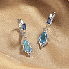 Brass Cubic Zirconia Hoop Earrings WGB9845-01-3