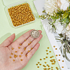 50G Glass Seed Beads SEED-PA0001-36C-02-3