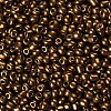 6/0 Glass Seed Beads X1-SEED-A009-4mm-601-2