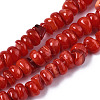 Natural Freshwater Shell Beads Strands SHEL-S278-041-1