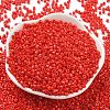 Baking Paint Glass Seed Beads SEED-S042-05A-34-2