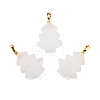 Natural Quartz Crystal Pendants G-A203-01K-1