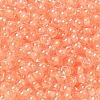 Glass Seed Beads SEED-H002-L-A235-3